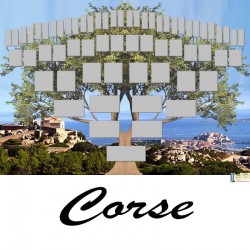 Corse - Arbre ascendant vierge 6 générations