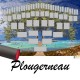 Présentation Plougerneau - Arbre ascendant vierge 6 générations