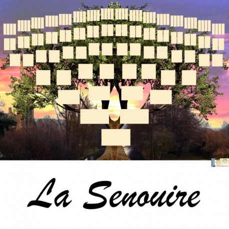 Présentation La Senouire - Arbres ascendants vierges 7 générations