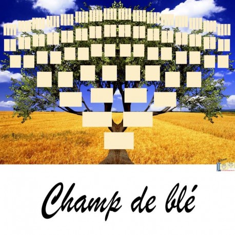 Présentation Champ-de Blé - Arbres ascendants vierges 7 générations