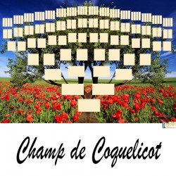 Champ de Coquelicot - Arbre ascendant vierge 7 générations
