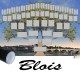 Présentation Blois - Arbre ascendant vierge 6 générations avec un tube noir