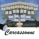 Présentation Carcassonne - Arbre ascendant vierge 6 générations avec un tube noir