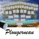 Présentation Plougerneau - Arbre ascendant vierge 6 générations avec un tube noir
