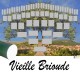 Présentation Vieille-Brioude - Arbre ascendant vierge 6 générations avec un tube vert