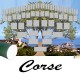 Présentation Corse - Arbre ascendant vierge 6 générations avec un tube vert