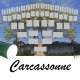 Présentation Carcassonne - Arbre ascendant vierge 6 générations avec un tube vert