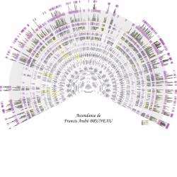 Arbre ascendant en arc de cercle 12 générations