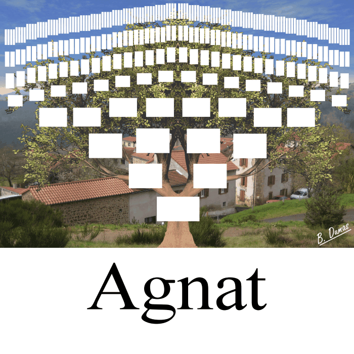 Présentation des arbres 9 générations